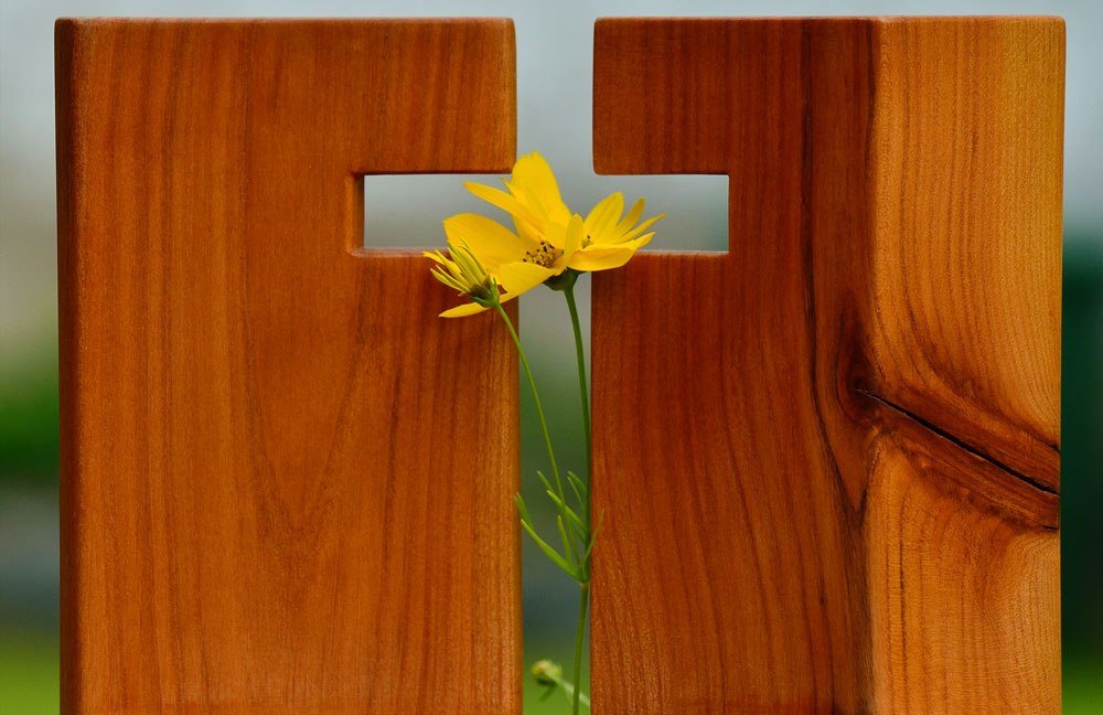 wood-flower